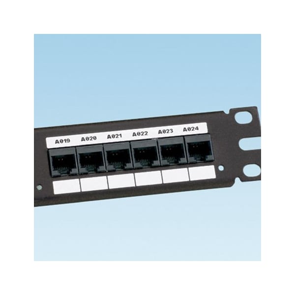 Tt, Adh Poly Comp Lbl, 2.75"x1.25", PK2500